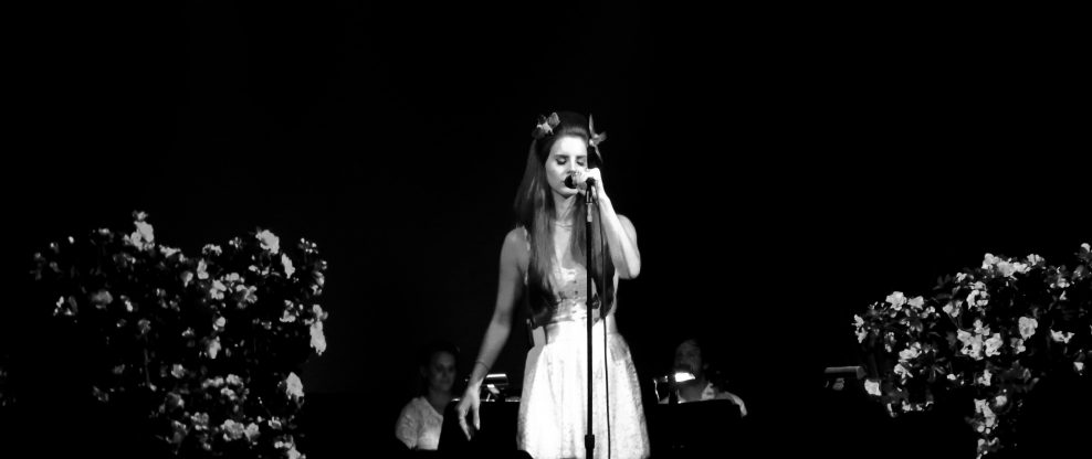 Lana Del Rey Avoids Kidnapping At Concert