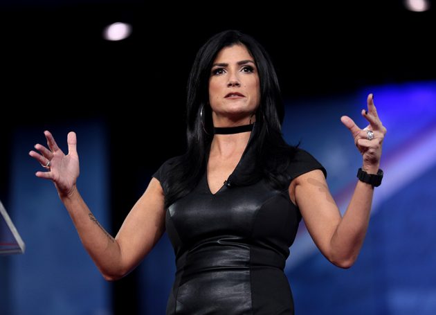 NRA Spokeswoman Dana Loesch Hates Against Neil Young