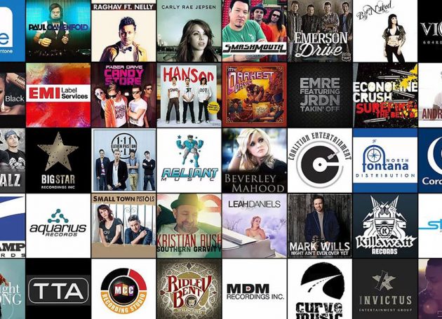 Pitbull Radio Promotions Launches Playlist Promotion Division