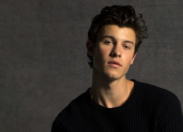 Shawn Mendes Announces 2019 Tour Plans