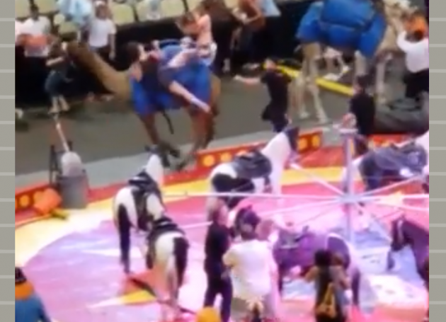 Camel Injures 7 At PPG Paints Arena