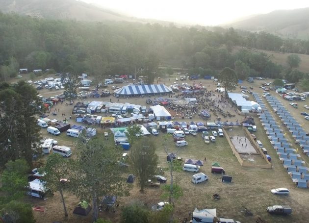Skydiver Hits Tree At Queensland Blues Fest