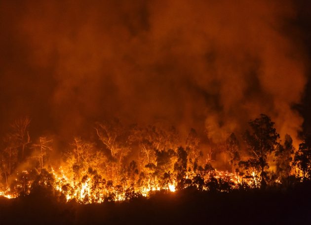 Neil Young (On His Birthday), Miley Cyrus, Robin Thicke Lose Homes In Malibu Fire