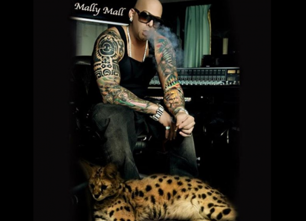 Mally Mall's House Raided By SWAT For Exotic Animals, Human Trafficking