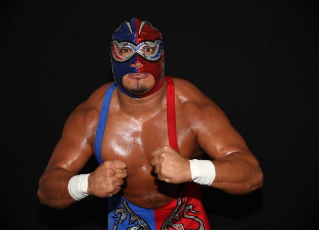 Wrestler Silver King Dies In Ring