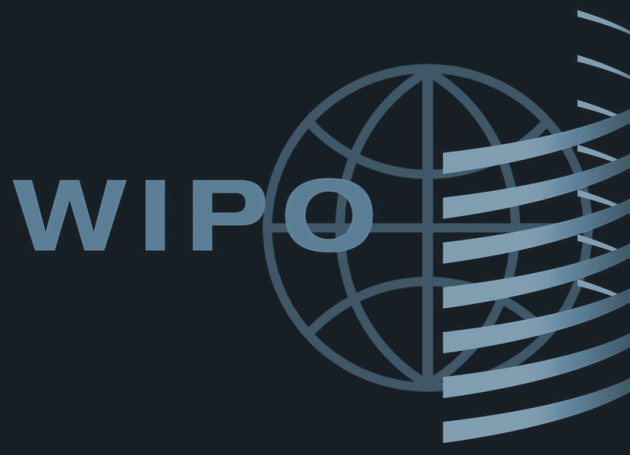 World Intellectual Property Organisation Aims to Combat Piracy With New Blocklist