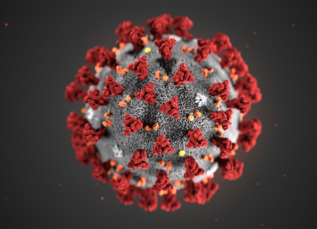 Novel nCov Coronavirus