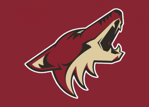 Coyotes