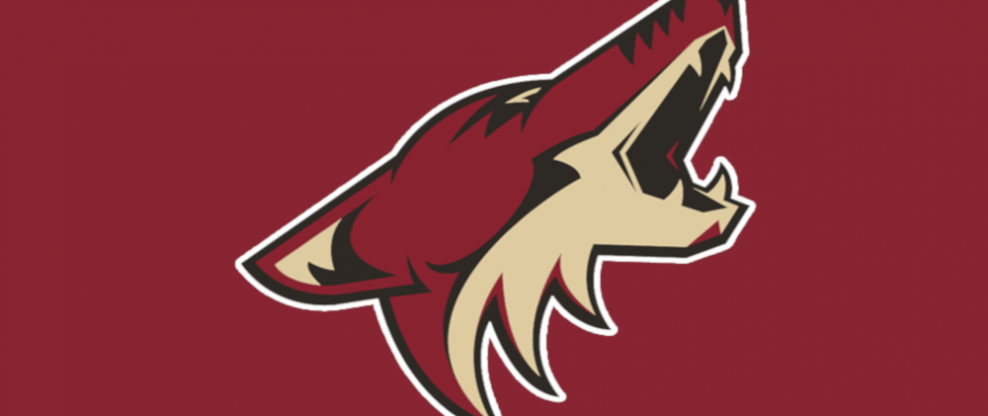 Coyotes