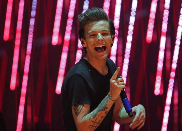 Louis Tomlinson Stops Washington DC Show to Help Fans