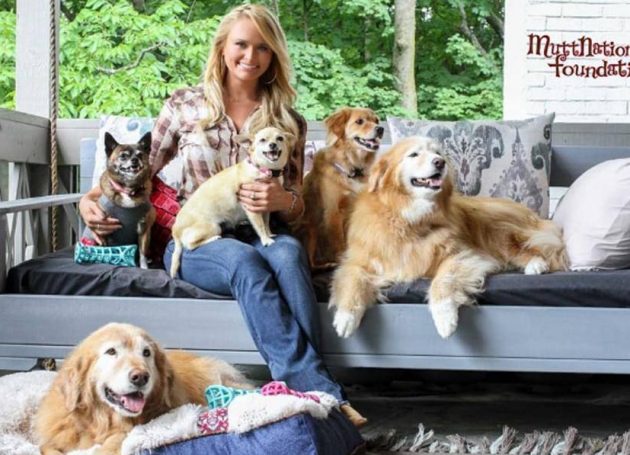 Miranda Lambert's MuttNation Foundation Gives $20K to Animal Shelters