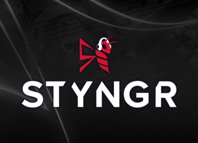 Warner Music Group Partners with Styngr for Music Licensing to Game Developers