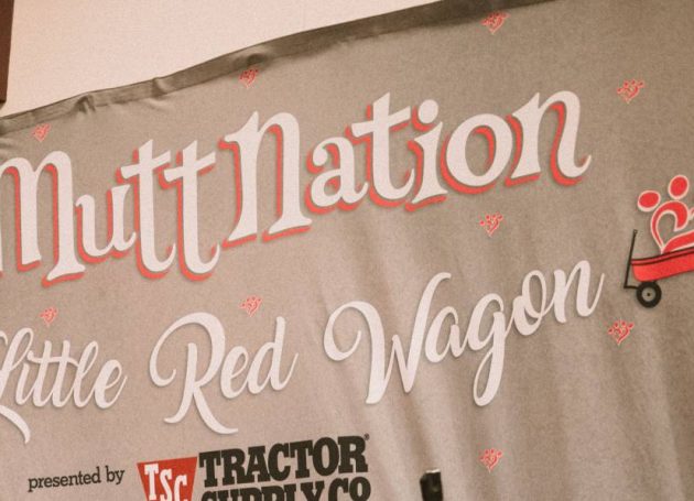 Miranda Lambert Asks Fans to Fill The Little Red Wagon for MuttNation On Her Bandwagon Tour With Little Big Town and The Cadillac Three