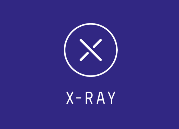 X-Ray Touring Appoints Jo Biddiscombe as a Director, Alongside Other Company Promotions