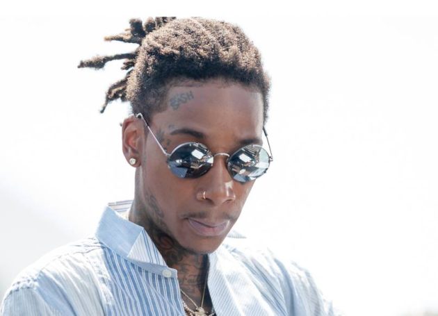 Wiz Khalifa and Red Light Holland Launch Mistercap, A New Psilocybin and Mushroom Wellness Brand