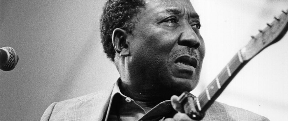 Muddy Waters