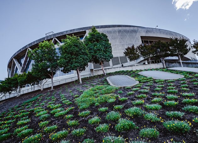 Oakland Coliseum and Arena