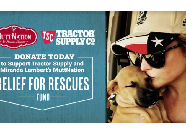 Miranda Lambert's MuttNation & Tractor Supply Launch 'Relief for Rescues Fund'