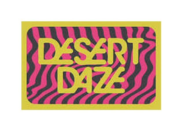 Desert Daze Festival Canceled Amid Rising Production Costs