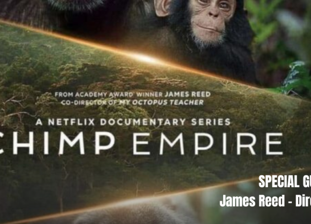 Chimp Empire