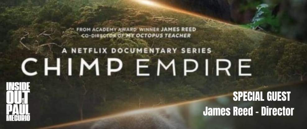 Chimp Empire